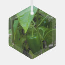 Buscar invernadero adornos Verde