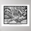 Buscar isla arte Árbol