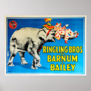 Buscar acrobático posters Circo