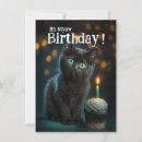 Buscar gatito 11x16 invitaciones Adorable