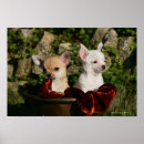 Buscar cervatillo posters Blanco