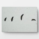 Buscar pájaro placas fotograbadas Invierno
