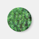 Buscar gorra imanes Verde