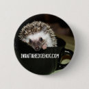 Buscar erizo chapas Hedgie