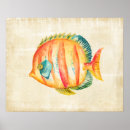 Buscar acuario posters Peces