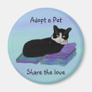 Buscar adopción imanes Gatos