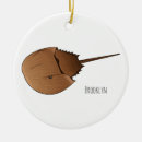 Buscar cangrejo adornos General y unisex