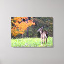 Buscar venado lienzos Árboles