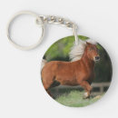 Buscar miniaturas llaveros Foto