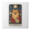 Buscar perro de pomerania azulejos Divertido