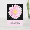 Buscar margarita del gerbera tarjetas Negro