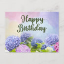 Buscar hydrangea purpura tarjetas General y unisex
