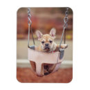 Buscar canino imanes Bulldog francés