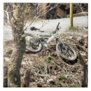 Buscar ciclistas azulejos Deporte