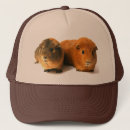 Buscar conejillo de indias gorras Guinea