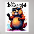 Buscar sensación posters Divertido