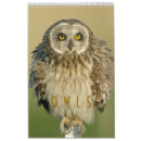 Buscar rapaz calendarios Aves rapaces