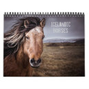 Buscar caballos calendarios Islandia