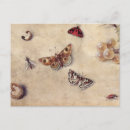 Buscar 1626 postales Anciano