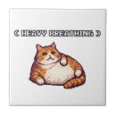 Buscar gordo azulejos Lindo gato