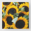 Buscar formato cuadrado posters Danita delimont