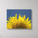Buscar girasoles lienzos Azul