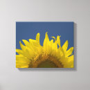 Buscar girasoles lienzos Azul