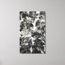 Buscar árbol de haya lienzos Maderas