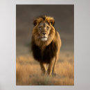 Buscar selva africana posters León