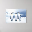 Buscar pingüino lindo lienzos Integral