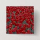 Buscar cama chapas Flor