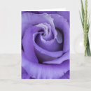 Buscar naturaleza abstracta tarjetas Fotografía de naturaleza