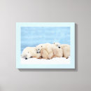 Buscar tejido lienzos Naturaleza