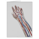 Buscar falange postales Transparente