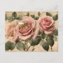 Buscar rosas rosados postales General y unisex