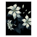 Buscar jazmín posters Naturaleza