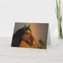 Buscar caballo salvaje tarjetas Semental