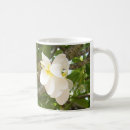 Buscar cofee Blanco