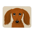 Buscar el salvador imanes Dachshund