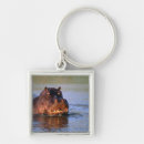 Buscar hippopotamuses accesorios Naturaleza