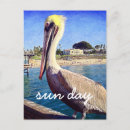 Buscar bird postales Para todos