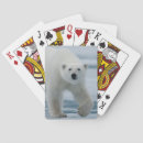 Buscar adultos barajas de cartas Animal