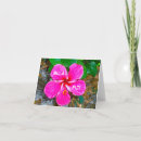 Buscar fiji tarjetas Tropical