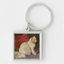 Buscar gato persa blanco Arturo