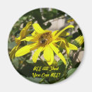 Buscar manosee la abeja imanes Girasol