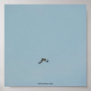 Buscar flying arte White