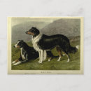 Buscar perro del vintage postales Ilustracion