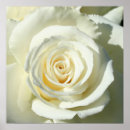 Buscar poner posters Blanco