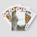 Buscar caballos barajas de cartas Para ella