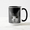 Buscar black cat tazas Felino